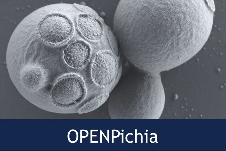 OPENPichia